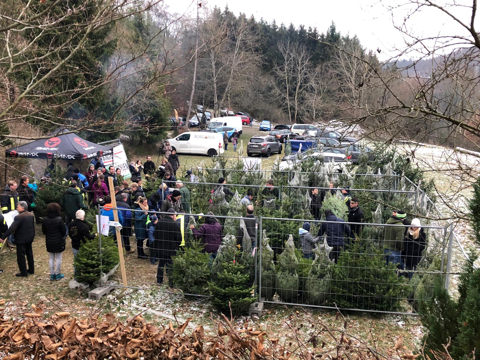 Weihnachtsbaumverkauf 2018