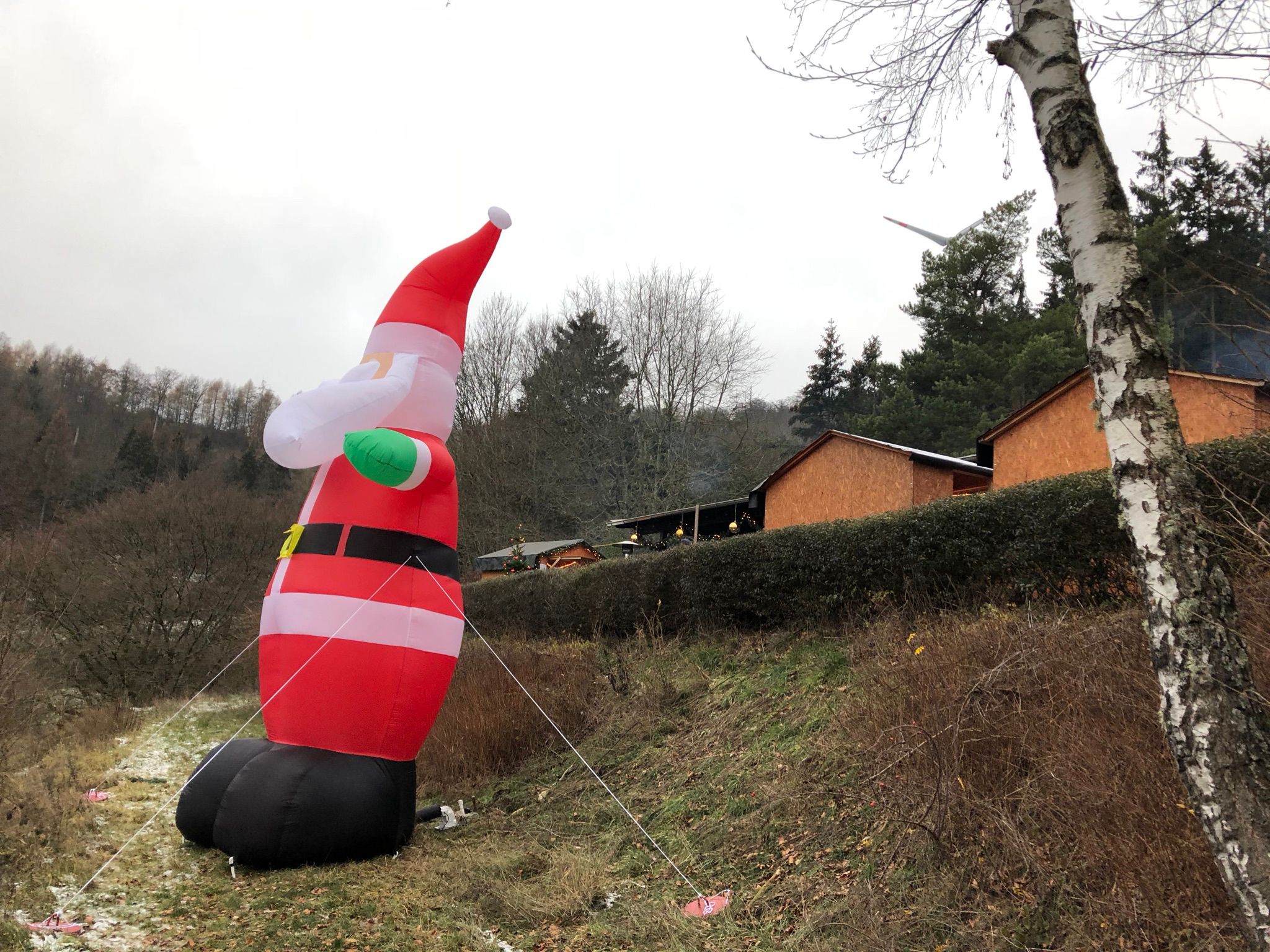 Weihnachtsbaumverkauf 2018