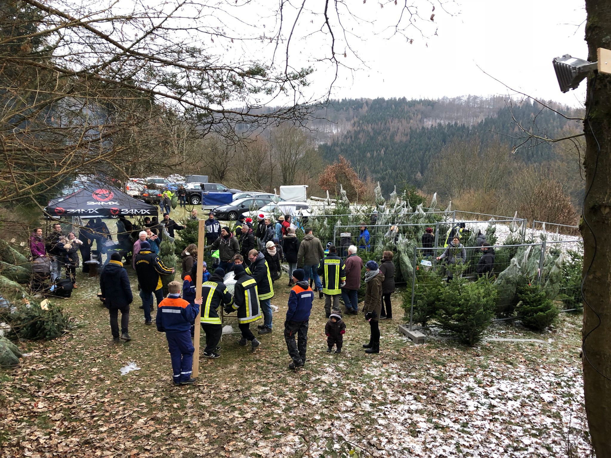 Weihnachtsbaumverkauf 2018