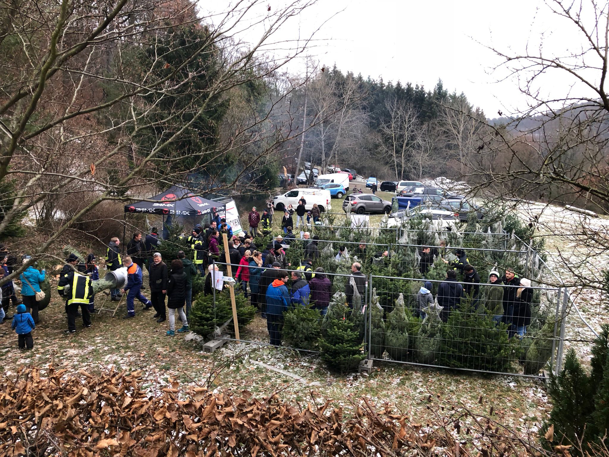 Weihnachtsbaumverkauf 2018